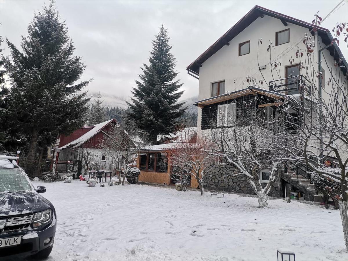 Zoso Home Szászbuda Kültér fotó