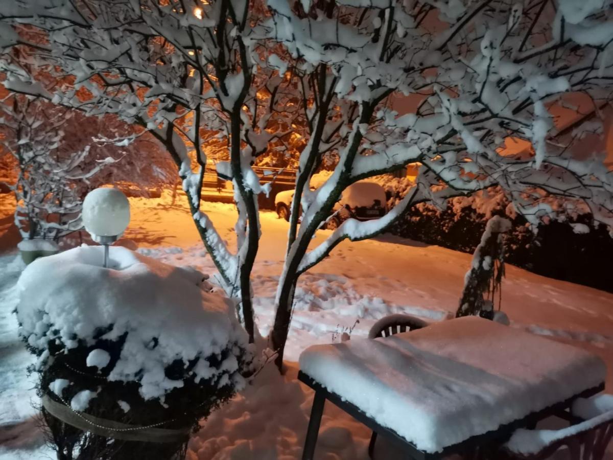 Zoso Home Szászbuda Kültér fotó