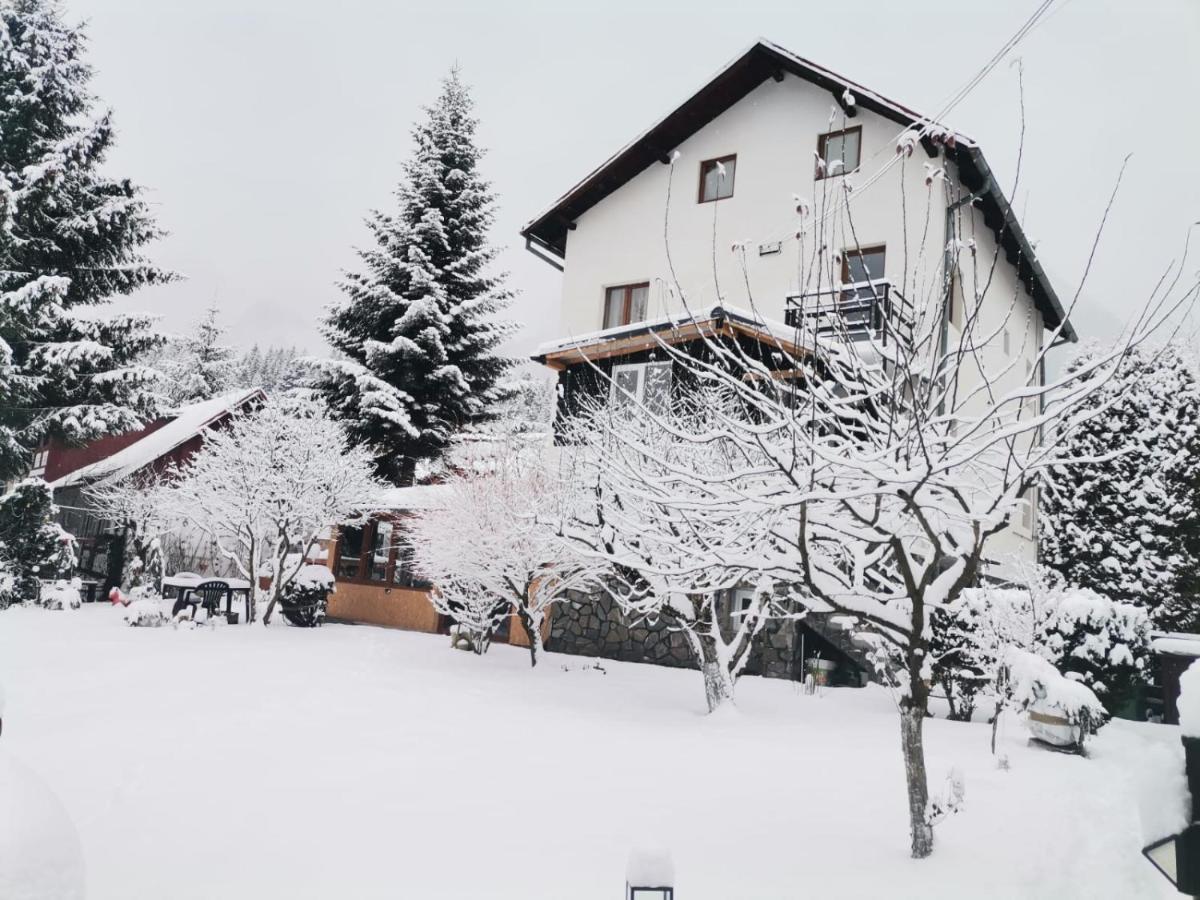 Zoso Home Szászbuda Kültér fotó