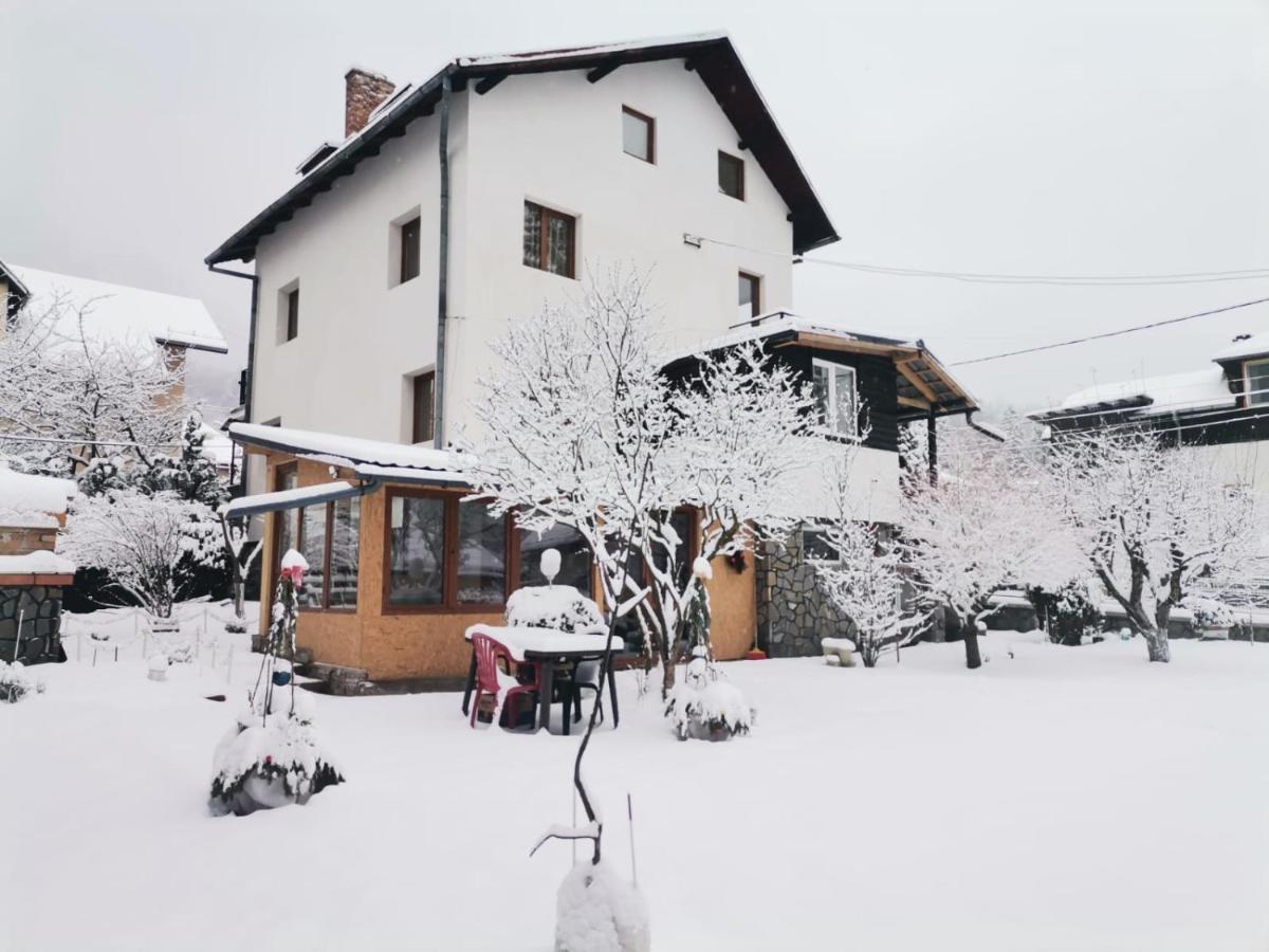 Zoso Home Szászbuda Kültér fotó