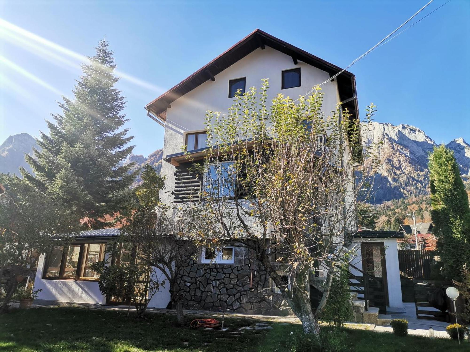 Zoso Home Szászbuda Kültér fotó
