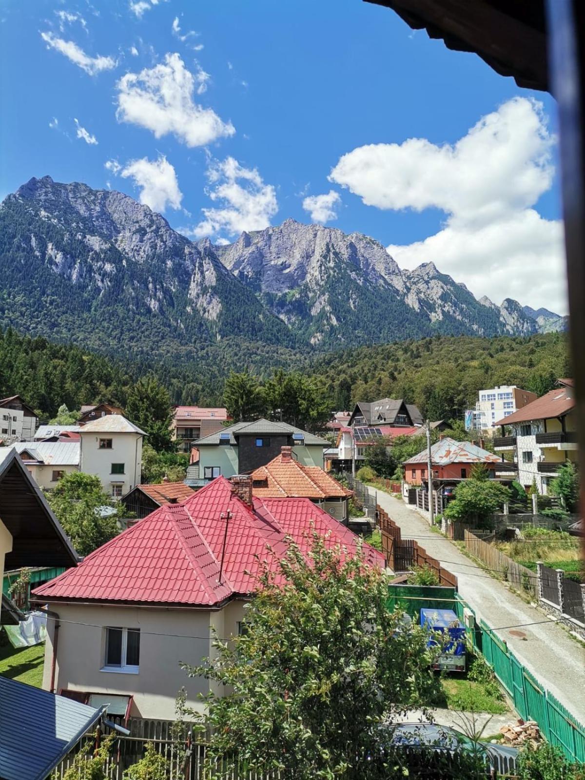 Zoso Home Szászbuda Kültér fotó